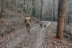 IMG-20211129-WA0011
