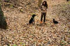 IMG-20211201-WA0003