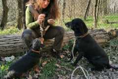 IMG-20250320-WA0027