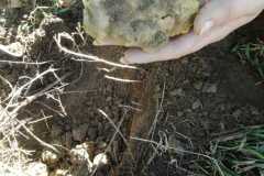 IMG-20250416-WA0025