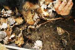 IMG-20250426-WA0001